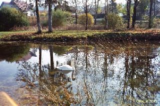 Rêveries d'automne 