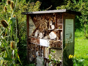Jardin botanique au mois d'août à Berne