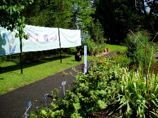 Jardin botanique au mois d'août à Berne