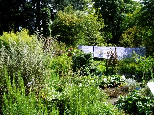 Jardin botanique au mois d'août à Berne