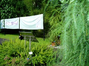 Jardin botanique au mois d'août à Berne