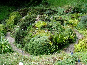 Jardin botanique au mois d'août à Berne