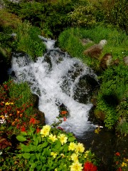 Magie et Beauté de la Nature