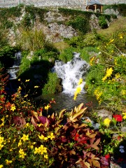 Magie et Beauté de la Nature