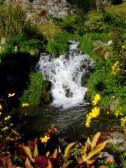 Magie et Beauté de la Nature