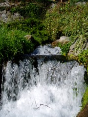 Magie et Beauté de la Nature