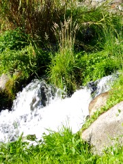 Magie et Beauté de la Nature